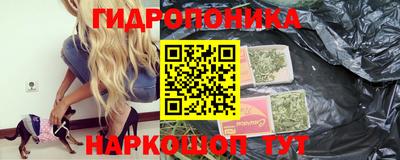 трава Новокубанск